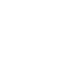 DPR RI